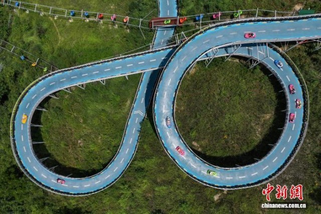贵州黔西：羊驼小镇暑期旅游热