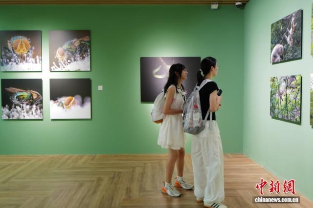 中国湿地博物馆夏日引游人尽显人与自然之美