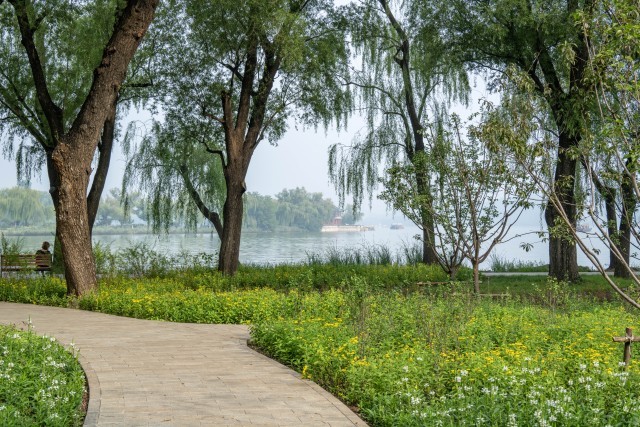 恢复6条重要观景视廊 颐和园昆明湖南岸景观提升完工