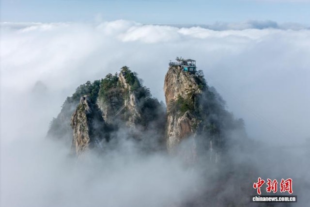 河南南阳：老界岭现秋日云海景观