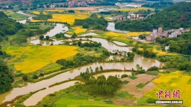广西苍梧乡村“丰景”如诗如画