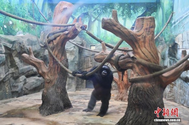 长春市动植物公园小动物温暖过冬