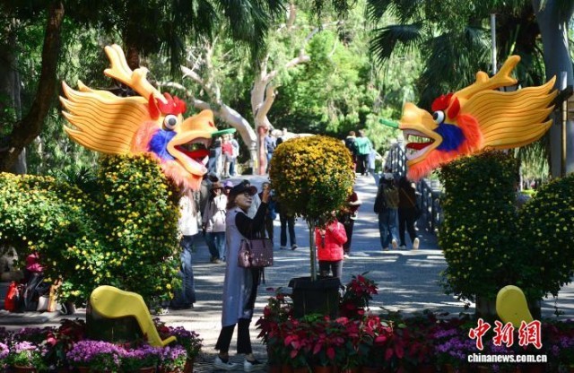 福州：公园菊花盛开引游人