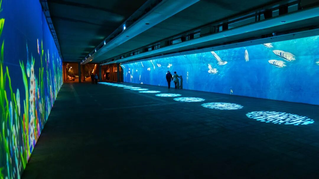 1764320169325168.png 1764320169325168.png