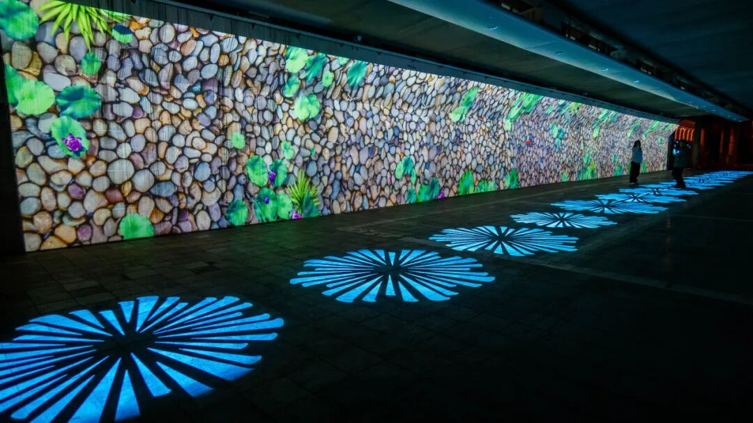 1764320188922152.png 1764320188922152.png