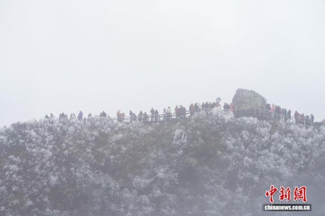 广西南宁大明山现冰凌雾凇民众感受冰雪之乐