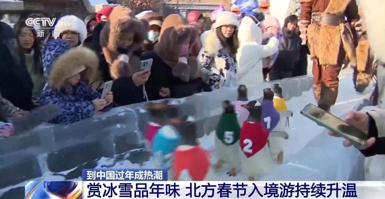 到中国过年成热潮海南出入境客流将增24%(图5)