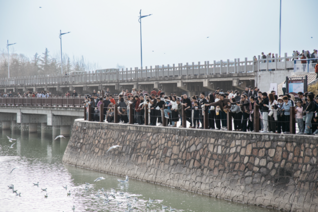 三门峡黄河老集年味浓“复古+科技”点燃春节消费热(图4)