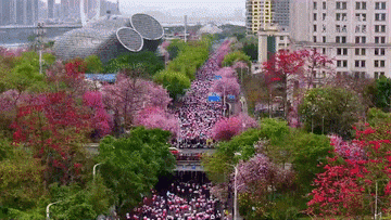 多地旅游场景上新 “体验经济”激发文旅新活力(图5)