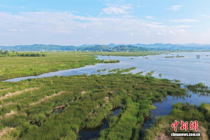 航拍贵州威宁草海夏日风光