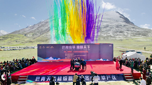 图片1.png