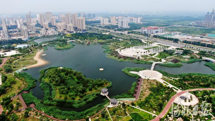 河北海兴:废弃坑塘变身生态公园_旅游频道_中国青年网