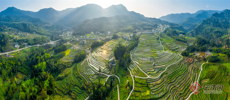 云南绥江:一山一村皆美景_旅游频道_中国青年网