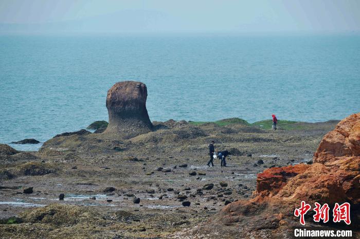 游客在海滩上“赶海”游玩。　王海滨 摄