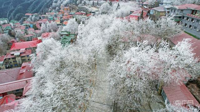 庐山牯岭山城一场“冬山如玉”美景徐徐展开