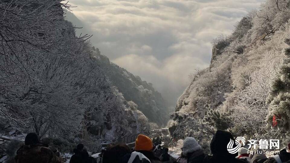 泰山云海、日出、雾凇美景齐现，惊艳你的朋友圈！