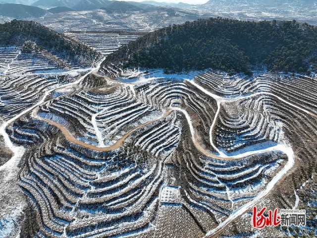 雪后初霁 大美燕赵_fororder_雪景3