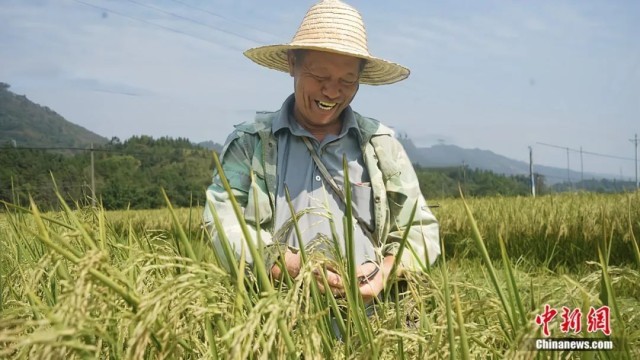 有生之年一定要去怀化看看！