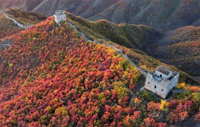 河北秦皇岛：秋天的长城景色美如画卷