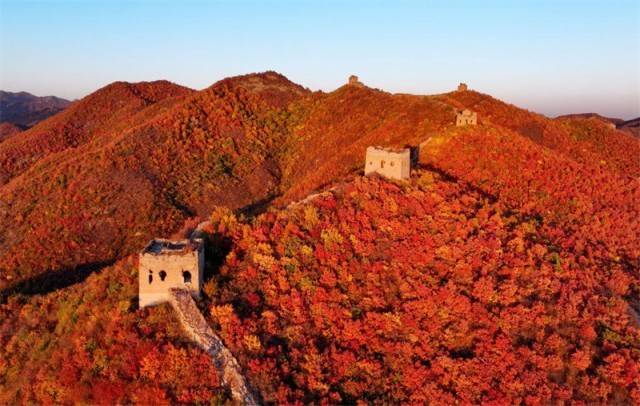 河北秦皇岛：秋天的长城景色美如画卷