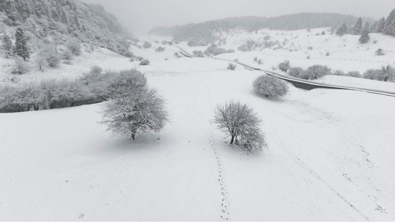 强降雪“助攻” 第十四届仙女山冰雪季12月23日开启