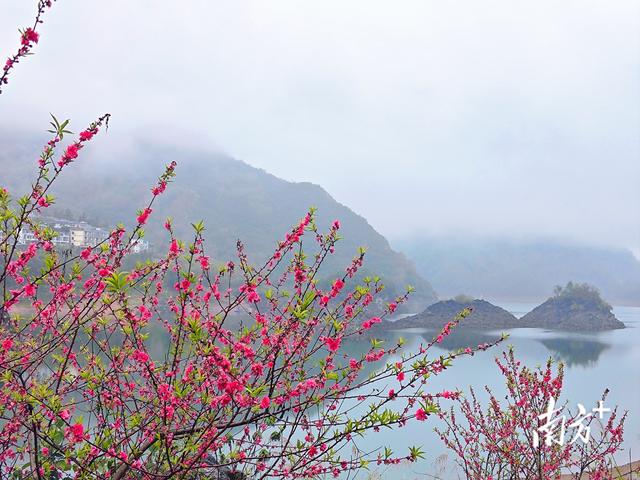 浸潭也藏着一个“世外桃源”，每年2月至4月各村的桃花如约绽放