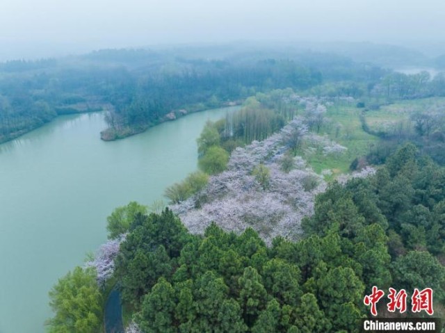 烟雨濛濛意思 W020240325543554494719.jpg