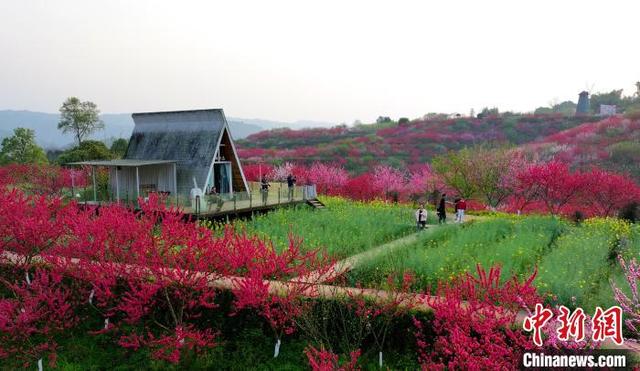 四川纳溪:桃园春色美_旅游频道_中国青年网