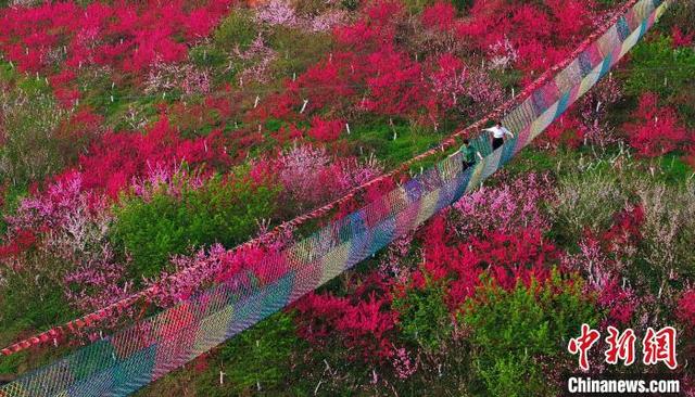 四川纳溪:桃园春色美_旅游频道_中国青年网