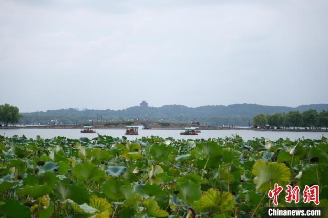 浙江杭州：秋色美如画游客尽享西湖风光