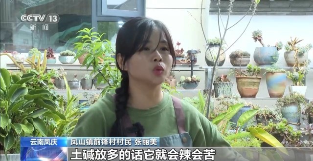 传统与创意碰撞！全国多地端午民俗活动大赏