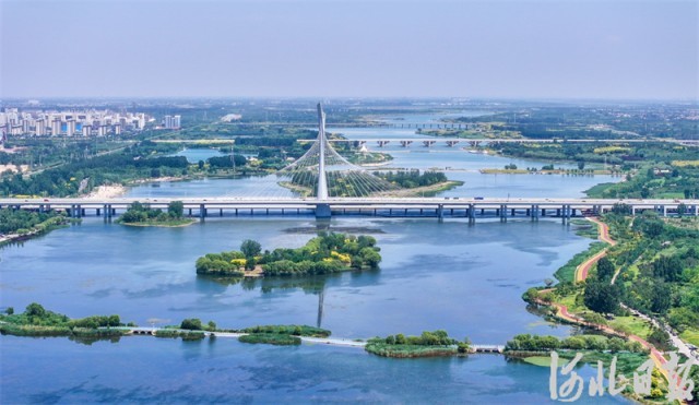 滹沱河畔夏意浓2.jpeg