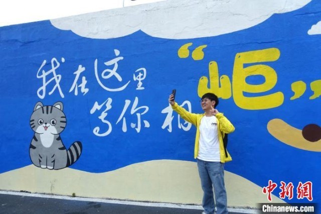 探访浙江舟山东岠岛：小岛露营受青睐